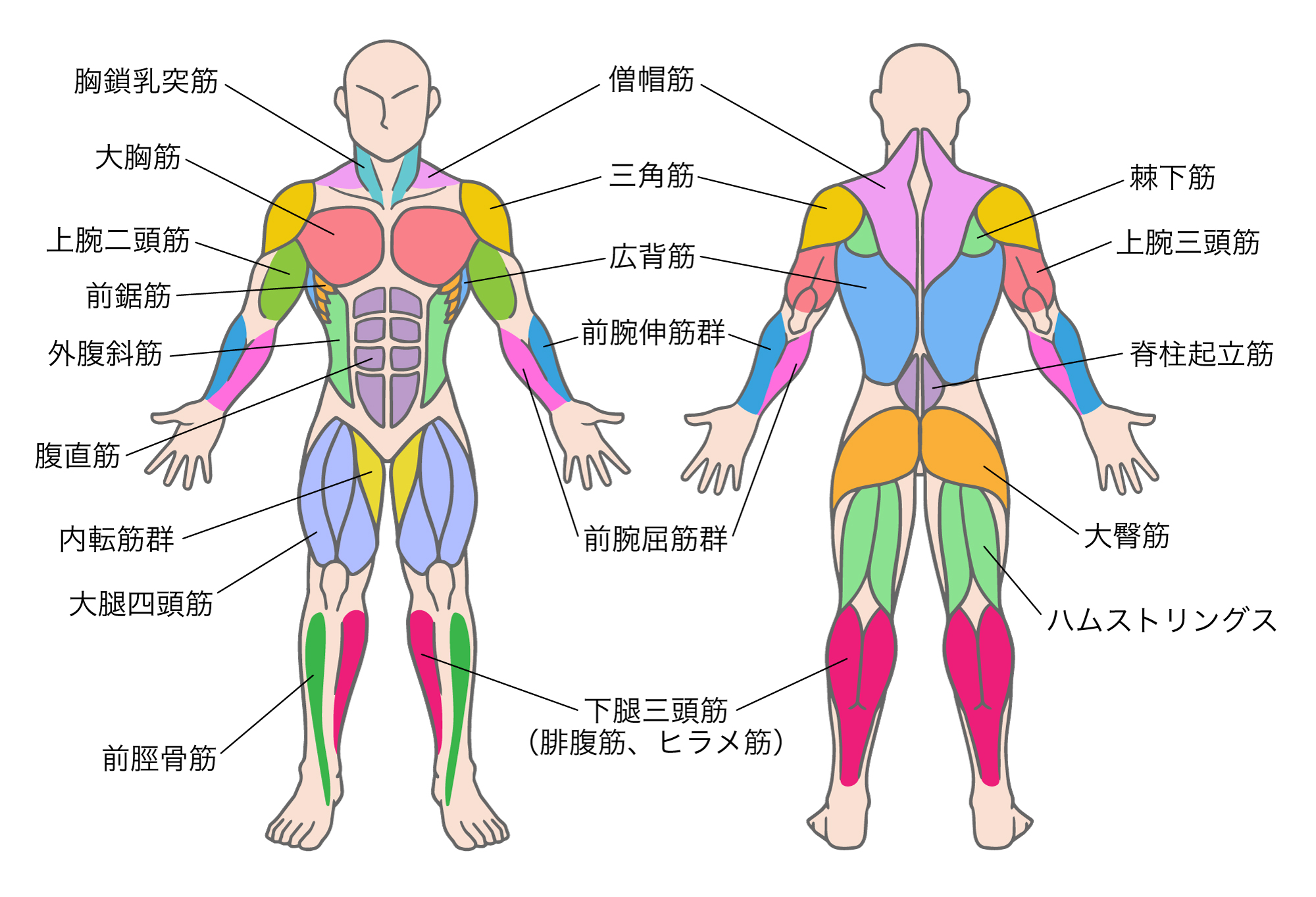 施術内容・料金